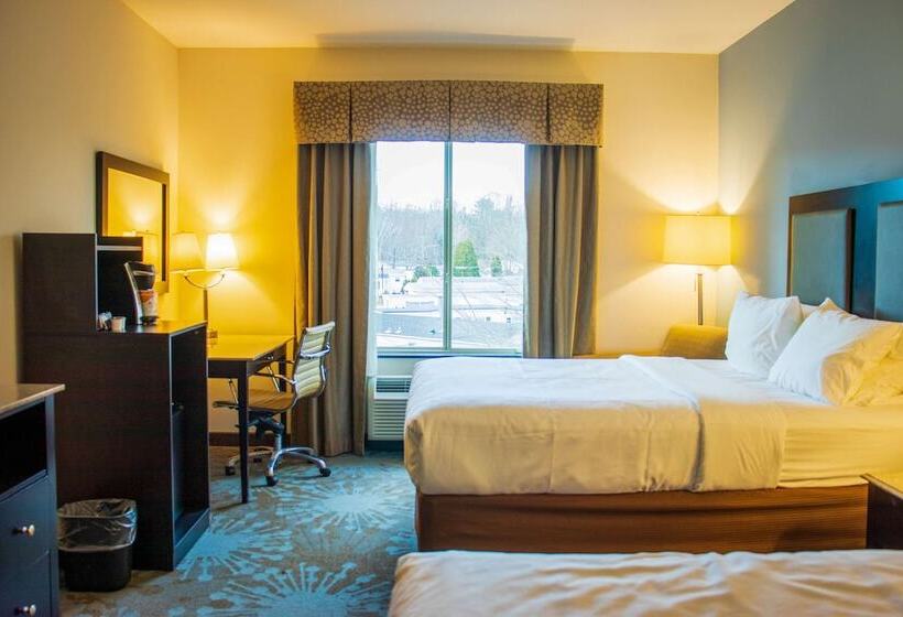 스탠다드 룸 더블 침대 2개, Comfort Inn & Suites Plainvillefoxboro
