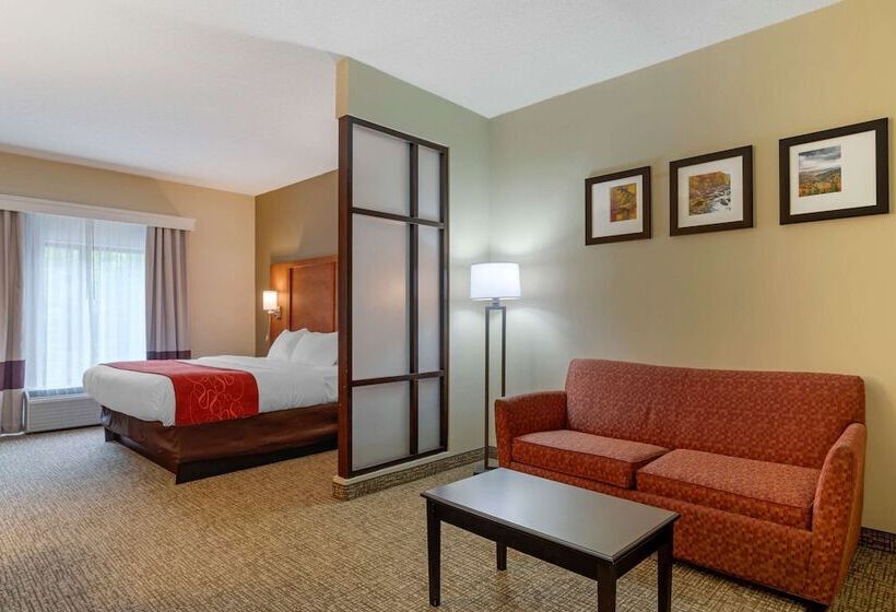 套房, Comfort Suites