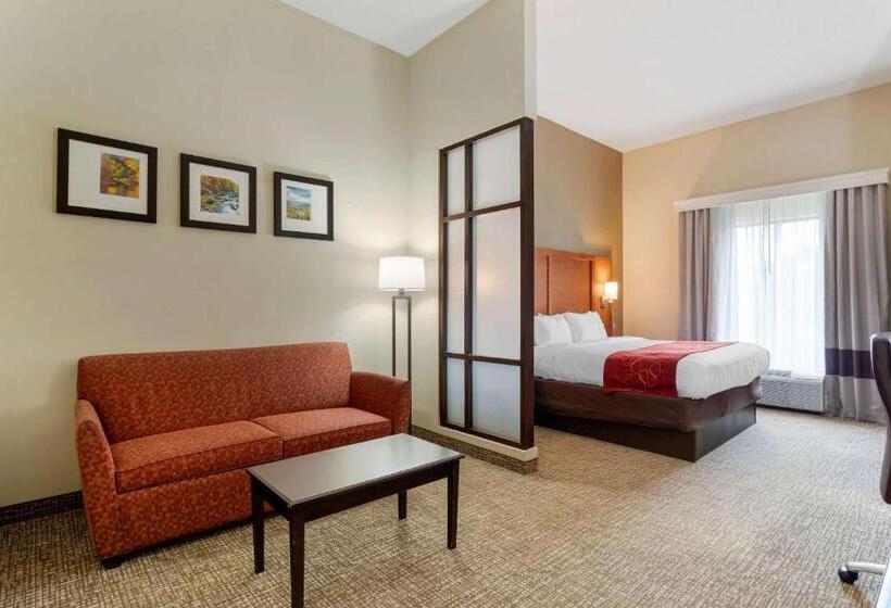 带大床的标准间, Comfort Suites