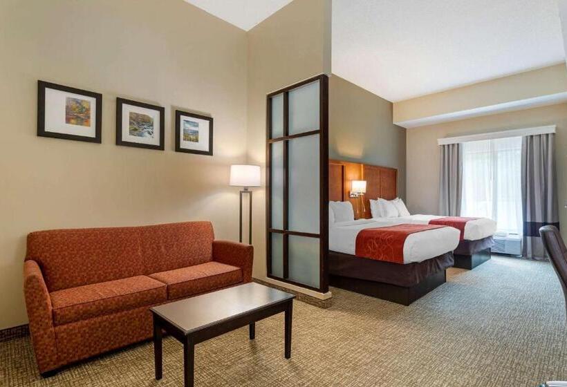 套房, Comfort Suites