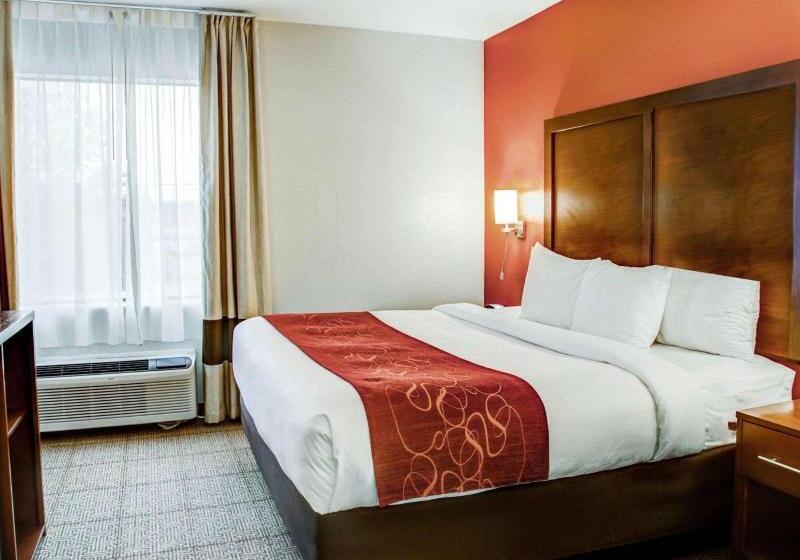スイート, Comfort Suites Tyler South