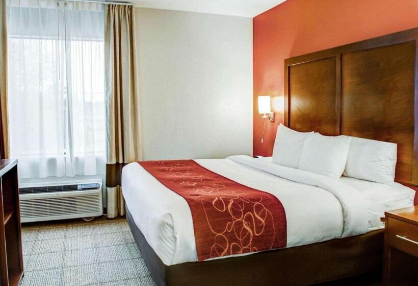 キングサイズベッドのスイートルーム, Comfort Suites Tyler South