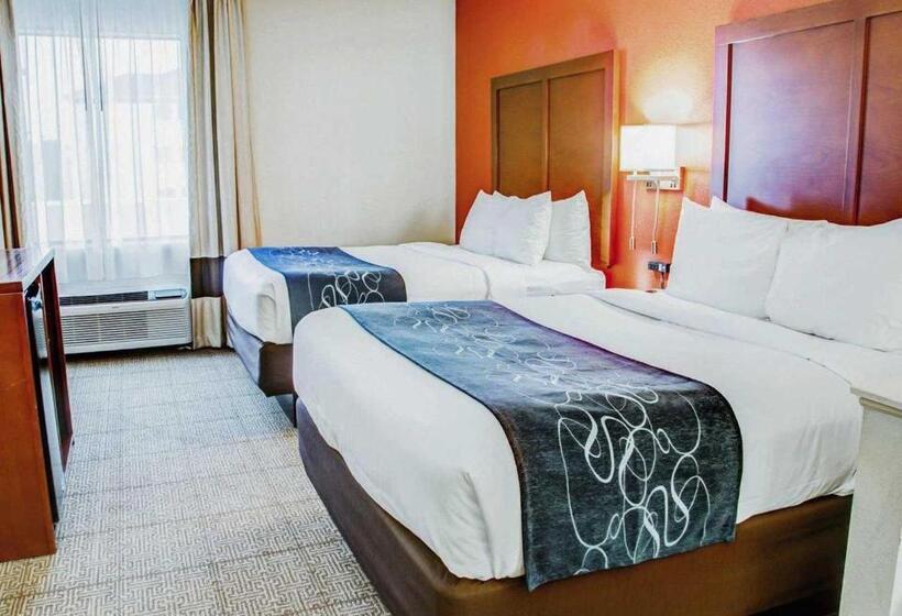 スイート, Comfort Suites Tyler South