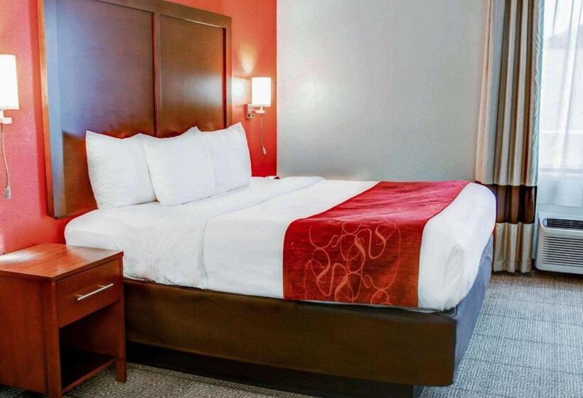 身障者適用スイートルーム, Comfort Suites Tyler South