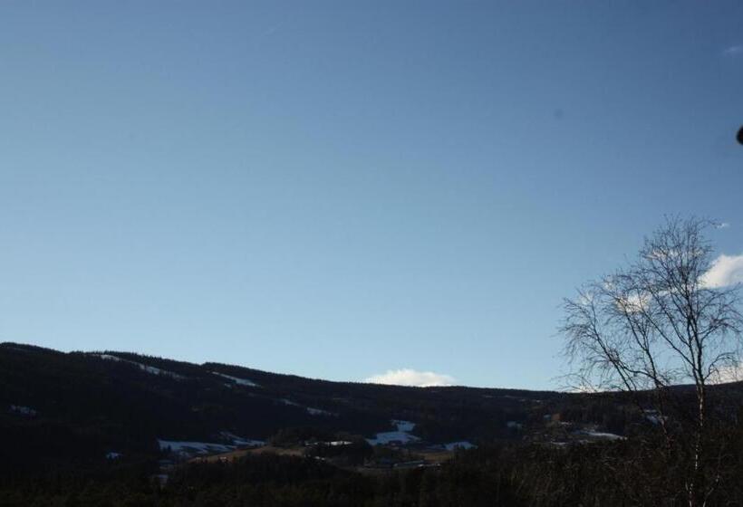Апартаменты 1 Спальня, Furulund Pensjonat