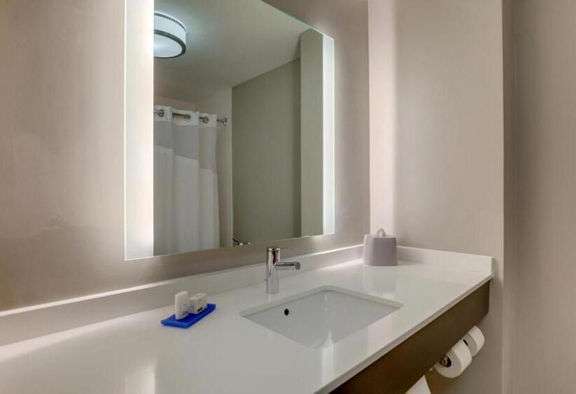Номер Стандарт, Holiday Inn Express Hotel & Suites Bryan Montpelier, An Ihg