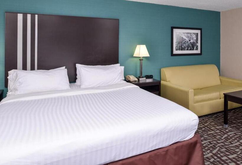 스위트 킹사이즈 침대, Holiday Inn Express Hotel & Suites Youngstown   North Lima/boardman, An Ihg