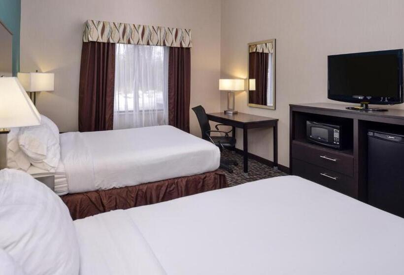 장애인을 위한 스탠다드 룸, Holiday Inn Express Hotel & Suites Youngstown   North Lima/boardman, An Ihg
