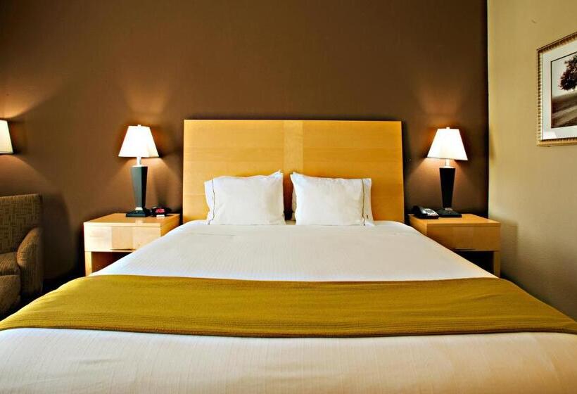 带大床的套房, Holiday Inn Express Hotel And Suites Borger, An Ihg