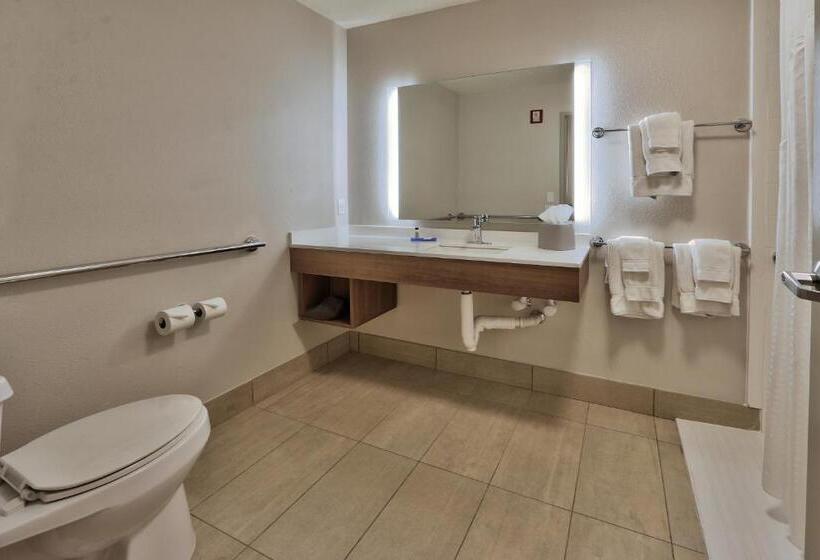 Номер Стандарт Адаптированный для Инвалидов, Holiday Inn Express Socorro, An Ihg