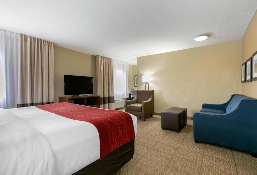 سوئیت با تخت بزرگ, Comfort Inn & Suites Near University Of Wyoming