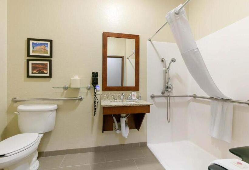 اتاق استاندارد برای معلولان, Comfort Inn & Suites Near University Of Wyoming