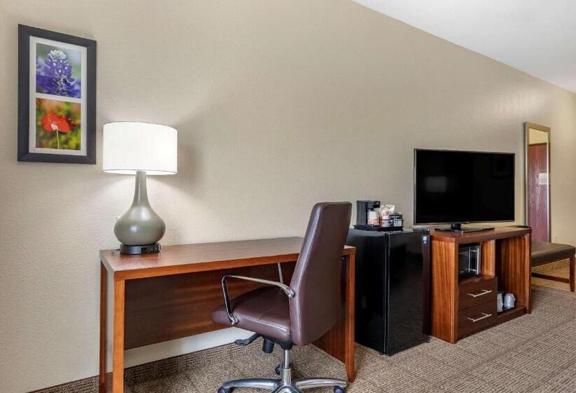 Стандартный Номер Кровать Кинг, Comfort Inn & Suites Paris