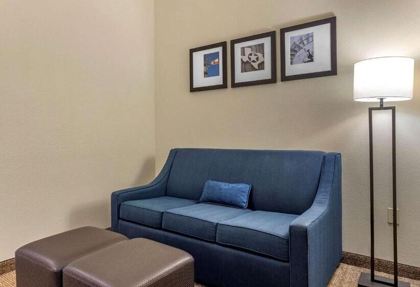 Люкс Кровать Кинг, Comfort Inn & Suites Paris