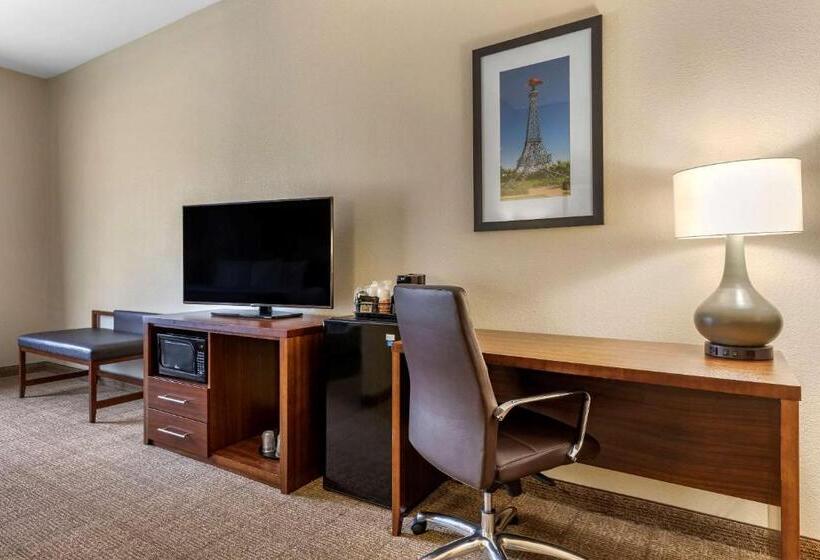 Номер Стандарт Кровать Кинг Адаптированный для Инвалидов, Comfort Inn & Suites Paris