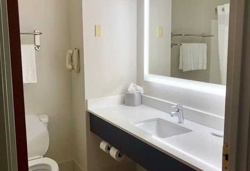 Номер Стандарт, Holiday Inn Express Hotel & Suites Decatur, Tx, An Ihg