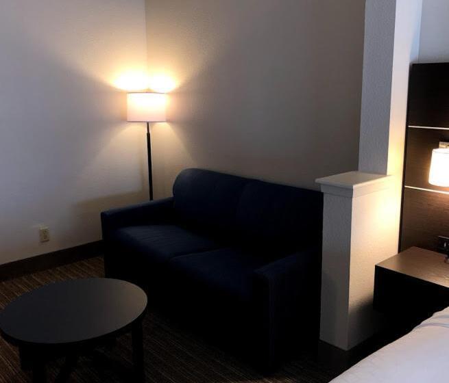 Люкс Адаптированный для Инвалидов, Holiday Inn Express Hotel & Suites Decatur, Tx, An Ihg