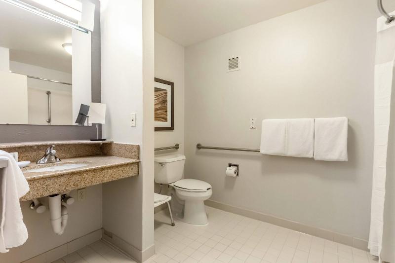 Стандартный Номер Кровать Кинг, Holiday Inn Express Hotel & Suites Decatur, Tx, An Ihg