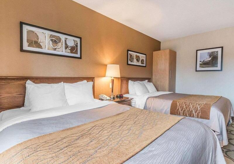 Номер Стандарт, Holiday Inn Express Hotel & Suites Decatur, Tx, An Ihg