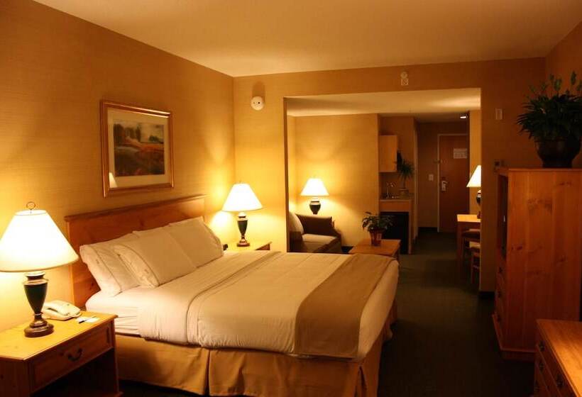Номер Стандарт, Holiday Inn Express Hotel & Suites Warrenton, An Ihg