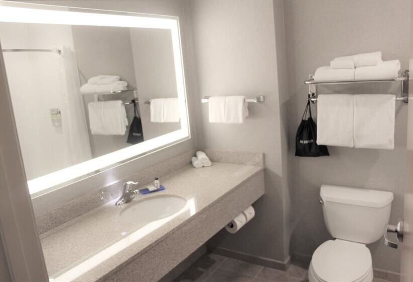 סוויטה, Holiday Inn Express & Suites Cheney, An Ihg