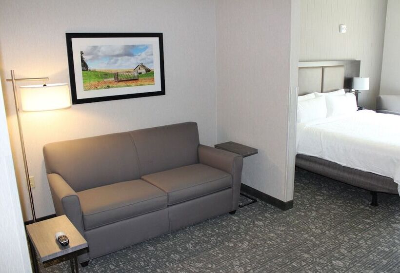 סוויטה, Holiday Inn Express & Suites Cheney, An Ihg