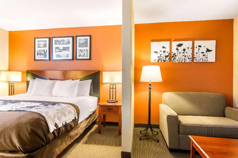 キングサイズベッドのスイートルーム, Sleep Inn & Suites