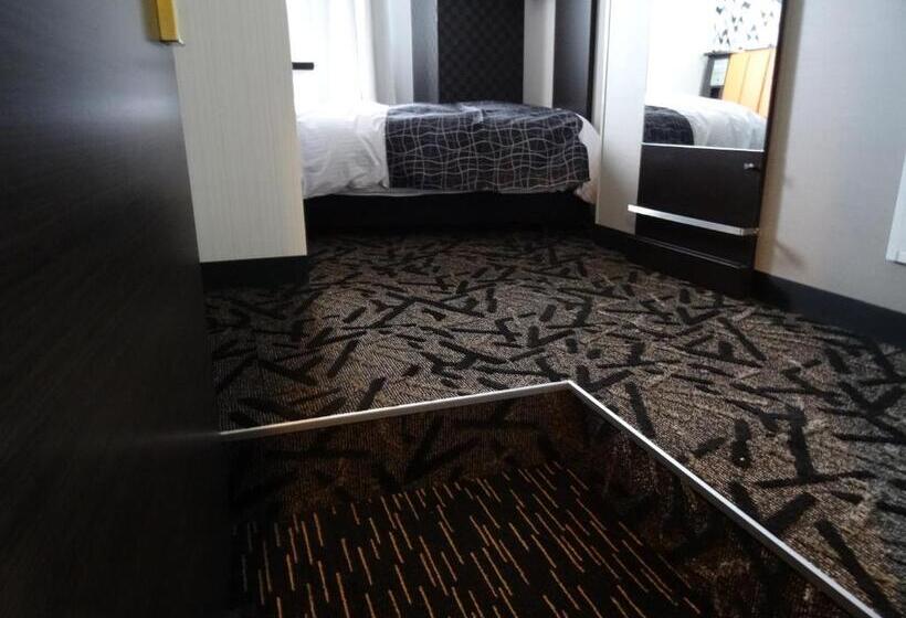 اتاق سوپریور یک تخته, Apa Hotel Takamatsu Airport