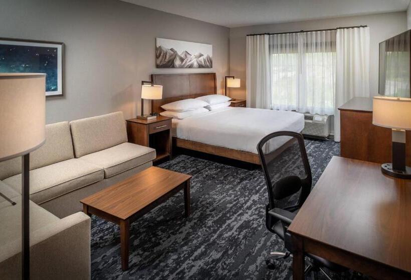 스탠다드 룸 킹사이즈 침대, Delta Hotels By Marriott Huntington Mall