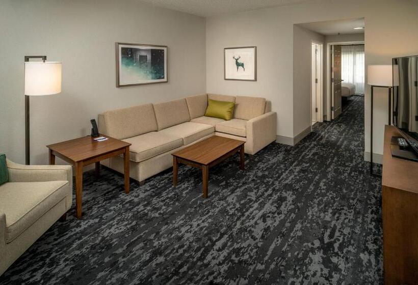 이그제큐티브 스위트 킹침대, Delta Hotels By Marriott Huntington Mall