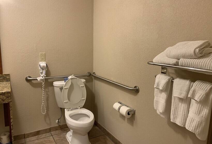 Студия Стандарт, Candlewood Suites Jonesboro, An Ihg
