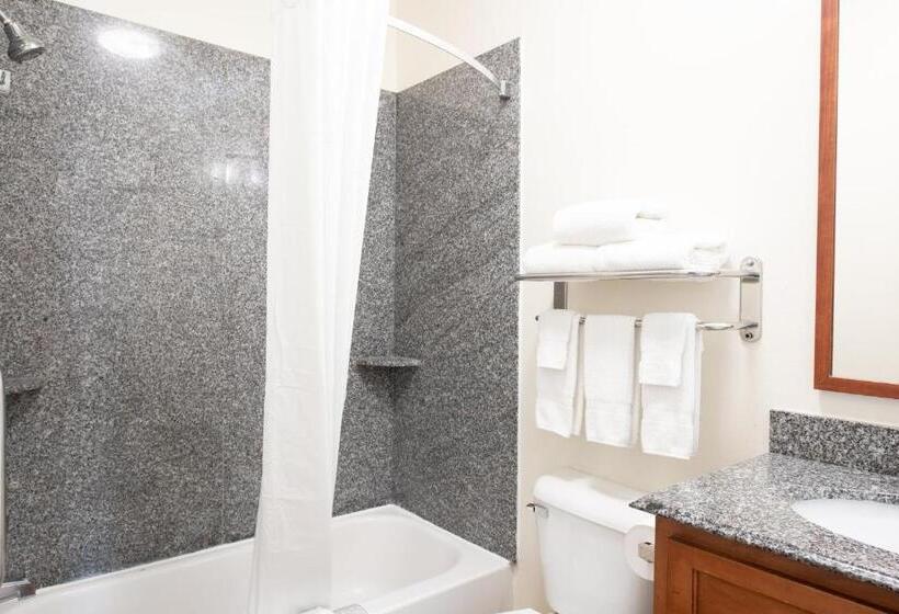 디럭스 스튜디오, Candlewood Suites New Iberia, An Ihg