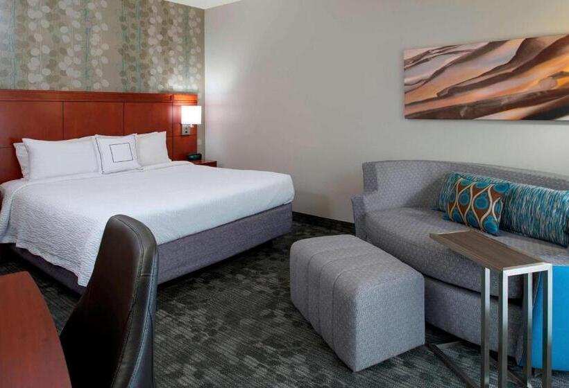 Номер Стандарт Адаптированный для Инвалидов, Sonesta Select Kansas City Airport Tiffany Springs