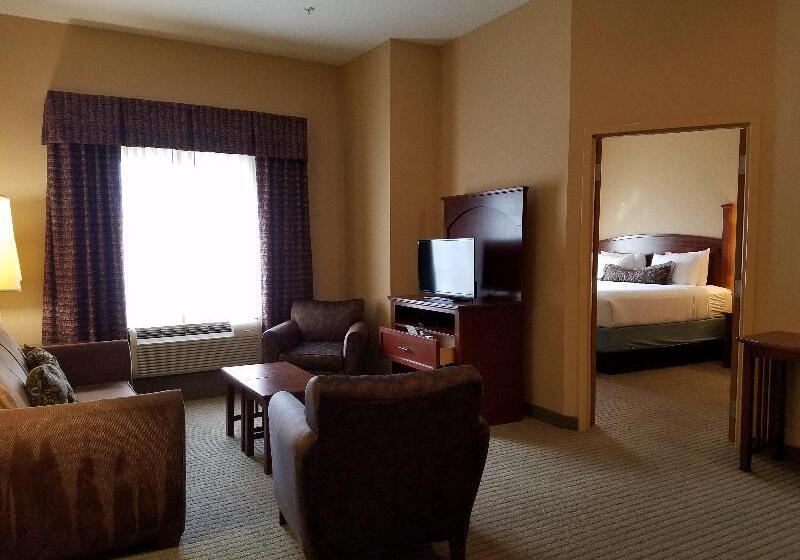 Люкс, Staybridge Suites Rogers   Bentonville, An Ihg