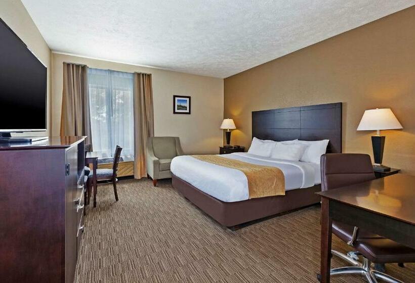 Стандартный Номер Кровать Кинг, Comfort Inn Whitehall Near Michigan S Adventure