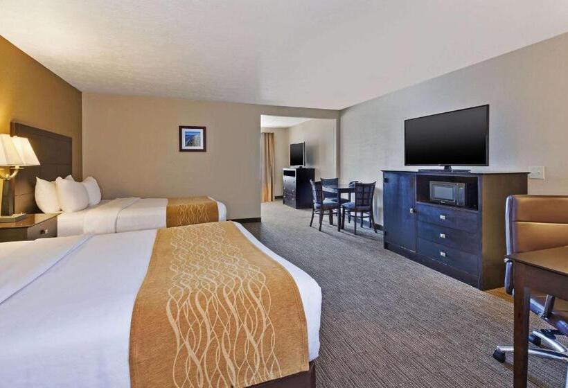 Номер Стандарт, Comfort Inn Whitehall Near Michigan S Adventure