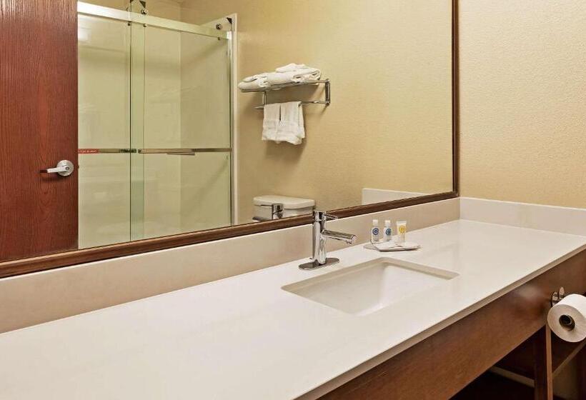 Люкс Повышенной Комфортности, Comfort Inn Whitehall Near Michigan S Adventure