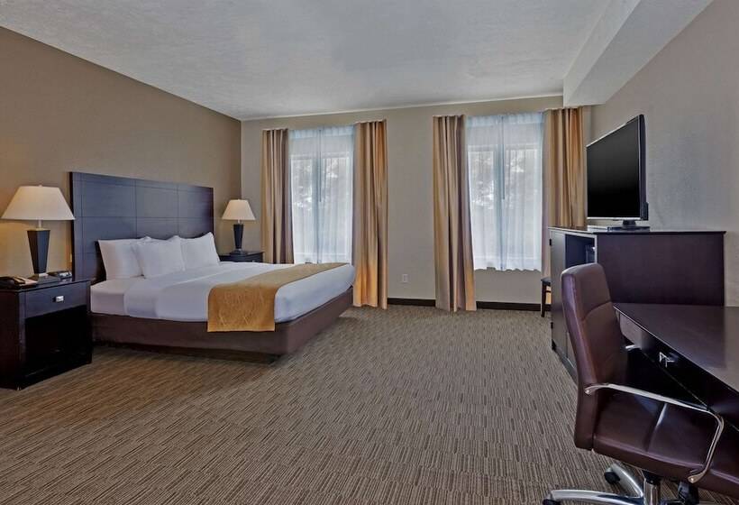 Номер Стандарт, Comfort Inn Whitehall Near Michigan S Adventure