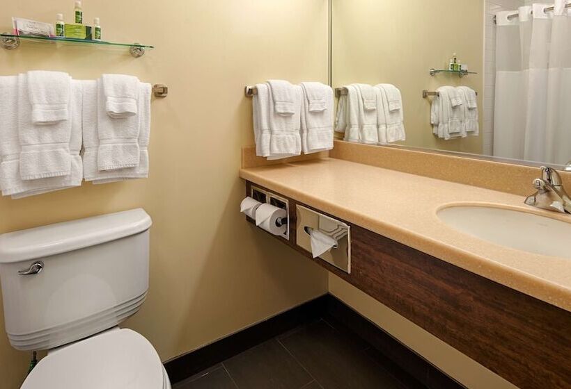 Номер Стандарт, Best Western Thompson