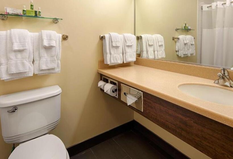 Номер Deluxe Кровать Кинг, Best Western Thompson