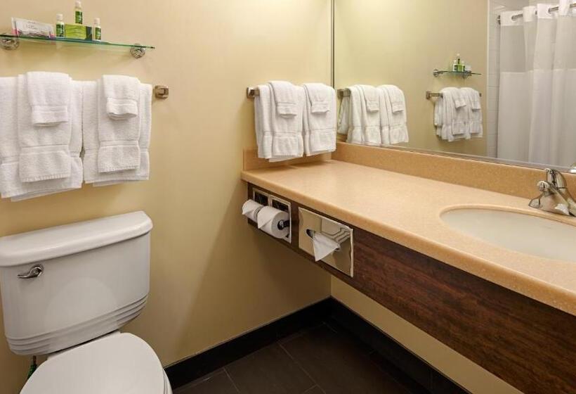 Люкс Повышенной Комфортности, Best Western Thompson