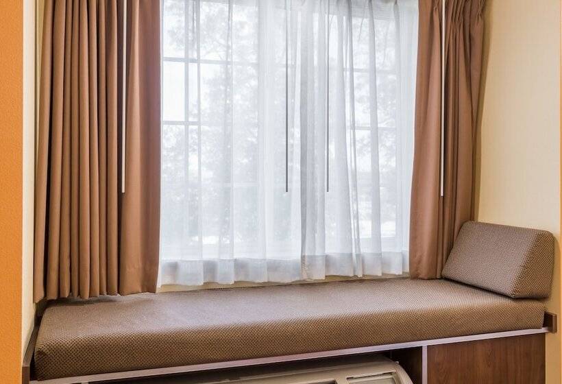 장애인을 위한 스위트, Microtel Inn And Suites By Wyndham Anderson Sc