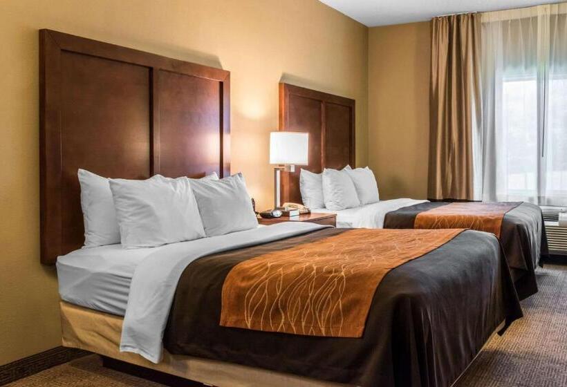 Номер Стандарт, Comfort Inn Columbia Lancaster