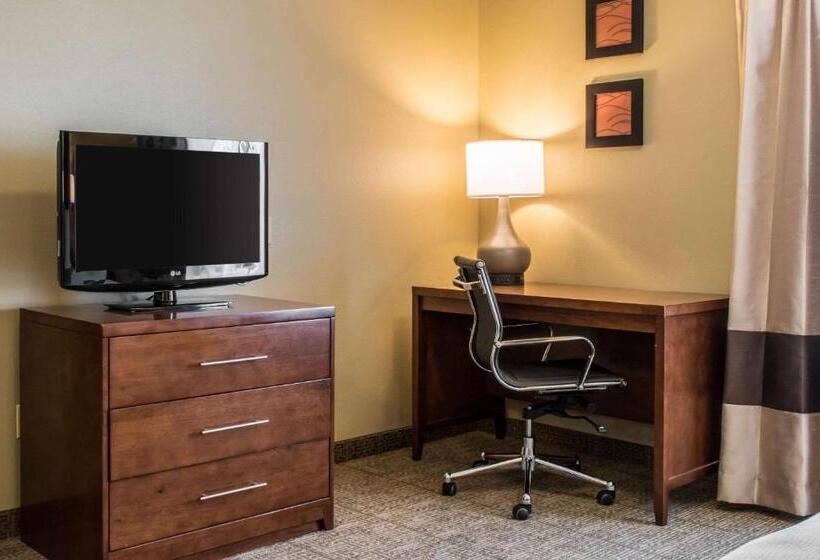 Номер Стандарт Кровать Кинг Адаптированный для Инвалидов, Comfort Inn Columbia Lancaster