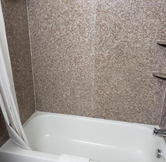 Студия Стандарт, Days Inn & Suites By Wyndham Cleburne Tx