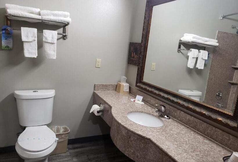 Студия Deluxe, Days Inn & Suites By Wyndham Cleburne Tx