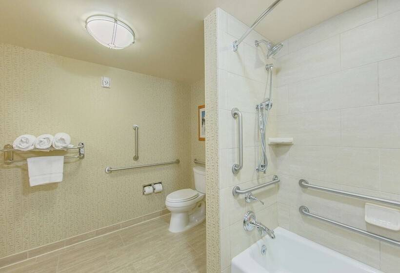 Habitació Estàndard, Hilton Garden Inn Fort Worth Medical Center