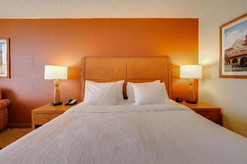Habitació Estàndard Llit King, Hilton Garden Inn Fort Worth Medical Center