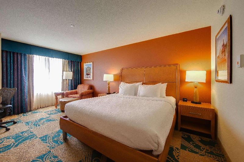 Habitació Estàndard Llit King, Hilton Garden Inn Fort Worth Medical Center