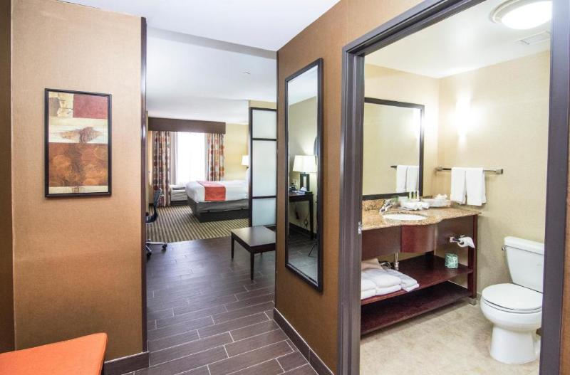 اتاق استاندارد با تخت بزرگ برای معلولان, Holiday Inn Express & Suites Elkton   University Area, An Ihg